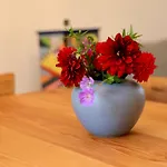 Hébergement de vacances Backhuesli Am Bauerngarten