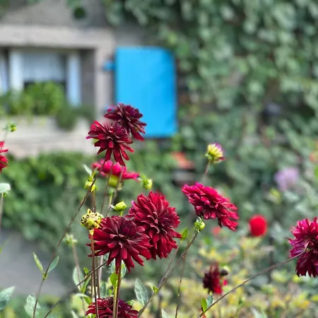 Backhüsli Am Bauerngarten * St. Blasien