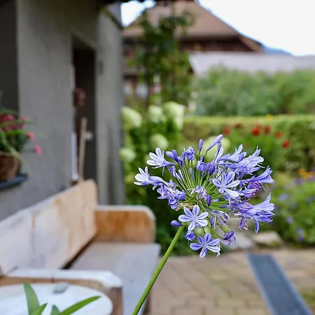 度假居 Backhuesli Am Bauerngarten 圣布拉辛