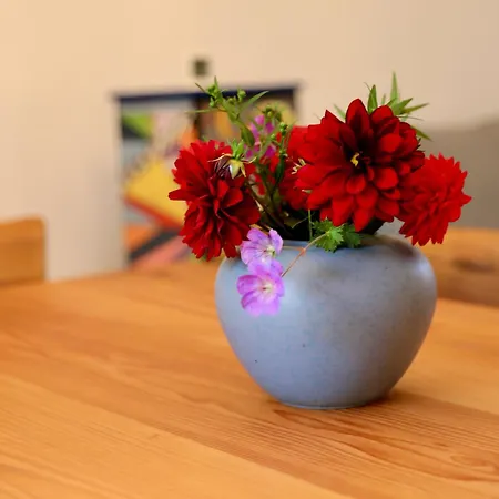 度假居 Backhuesli Am Bauerngarten