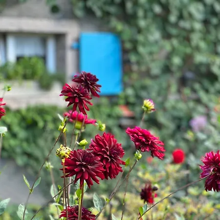 Backhuesli Am Bauerngarten * 圣布拉辛