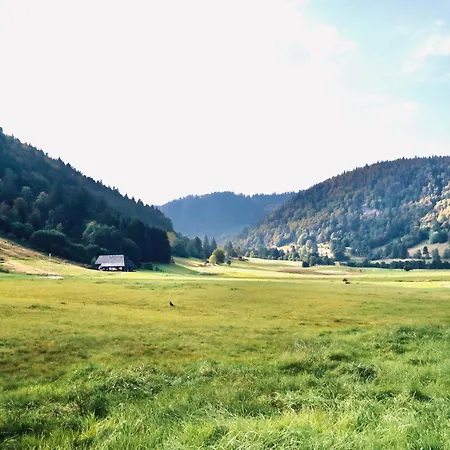 Backhuesli Am Bauerngarten 度假居 圣布拉辛