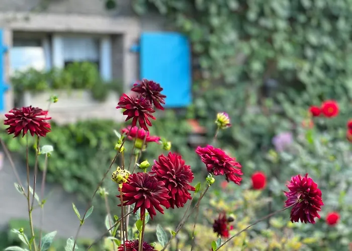 Backhuesli Am Bauerngarten * St. Blasien