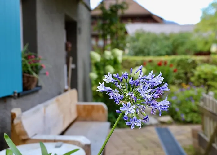 Dom wakacyjny Backhuesli Am Bauerngarten *